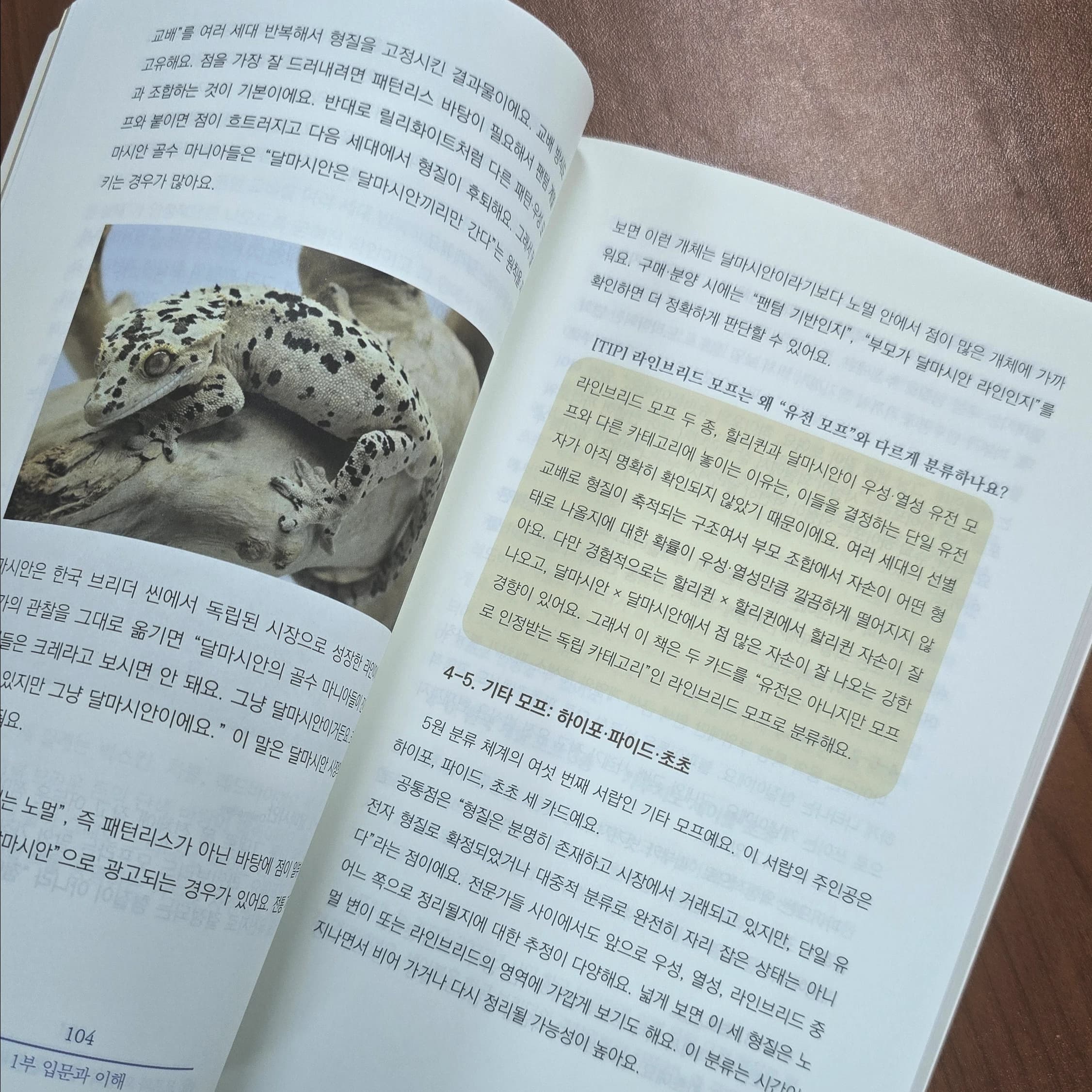 448페이지 크레스티드게코 The-Kpet 키우는 법 도서의 외주 책임편집 결과물 내지