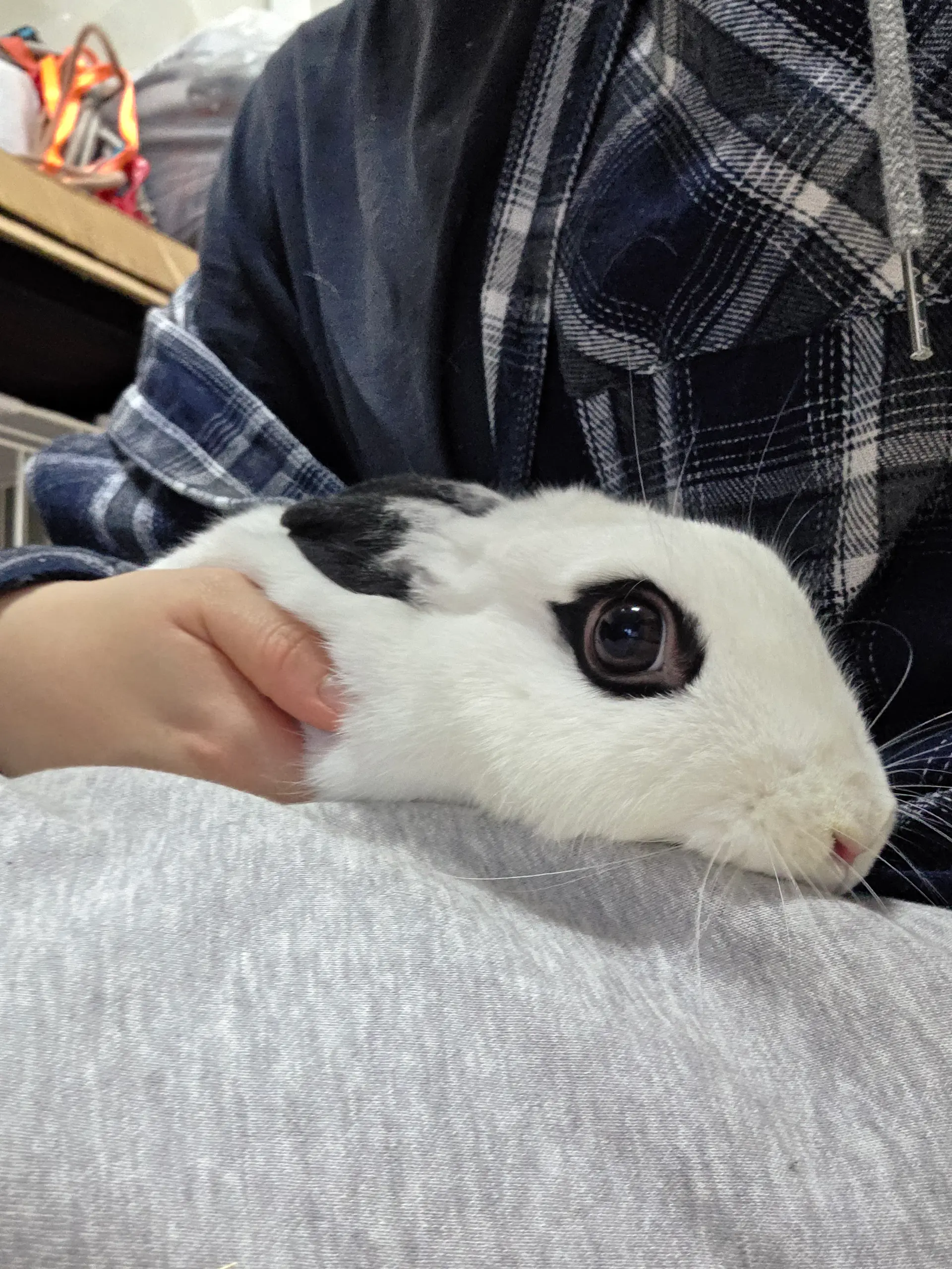 아름이 사진 1